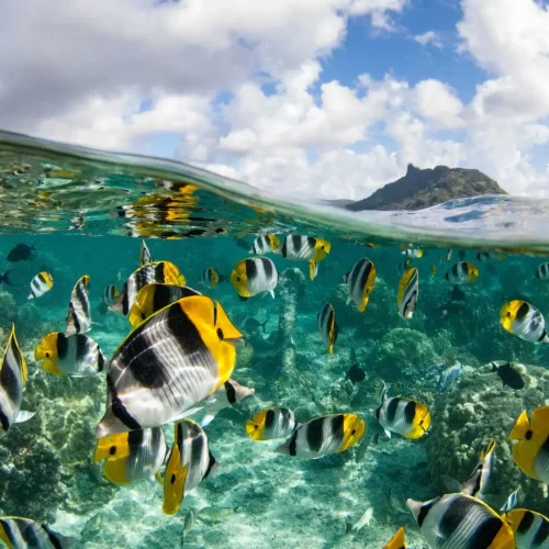 Design sans titre (85)